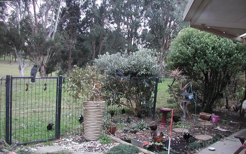 Completed fence project